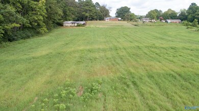 Lot 1 Hays Mill Rd, Elkmont, AL 35620 - photo 6
