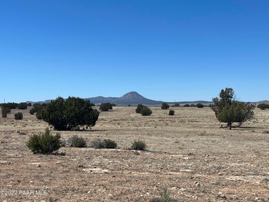 13 SW Chain Ranch, Ash Fork, AZ 86320 - photo 5