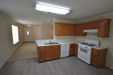 411 Golden Gate Dr, Leander, TX 78641 - photo 6