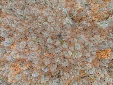 TBD Hamilton Rd, Yoder, IN 46798 - photo 6