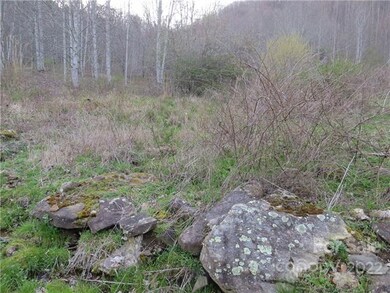 000 Summer Trees Ln, Burnsville, NC 28714 - photo 3