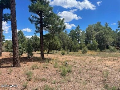 641 Campbell Ln, Show Low, AZ 85901 - photo 2