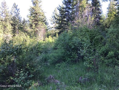 0 Fly Catcher Lts 13 & 14 unit 25-3423, St. Maries, ID 83861 - photo 3