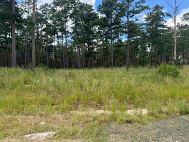 030 Private Road 6026 unit Tract 1-30, Brookeland, TX 75931 - photo 3