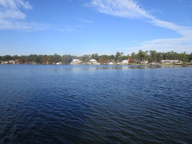 190 Spring Creek Rd, Warwick, GA 31796 - photo 7