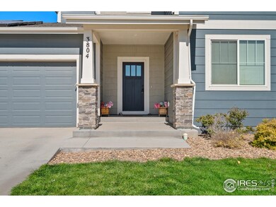 3804 Buckthorn St, Wellington, CO 80549 - photo 3