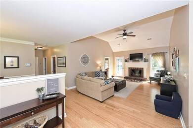 12501 Cedarford Ct, Huntersville, NC 28078 - photo 4