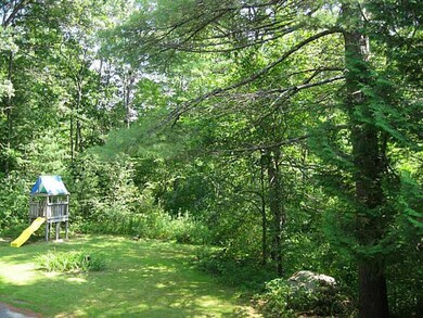 Yard/Garden.