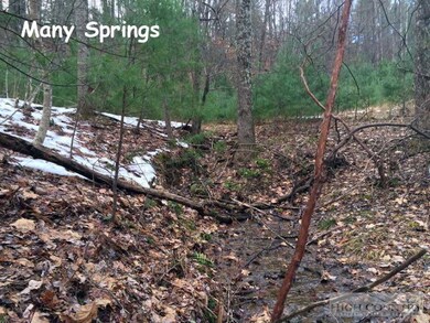 738 Patton Ridge Rd, Deep Gap, NC 28618 - photo 6