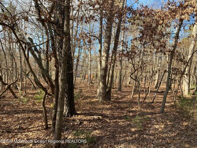 9 Bridge Rd, Little Egg Harbor Township, NJ 08087 - photo 3