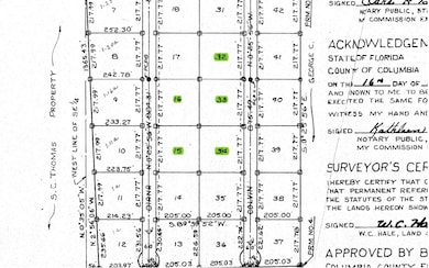 236 NE Colvin Ave, Lake City, FL 32055 - photo 4