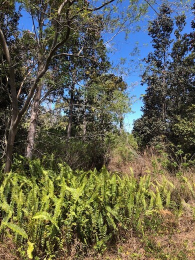 0 Bamboo Ln unit 710662, Ocean View, HI 96704 - photo 3