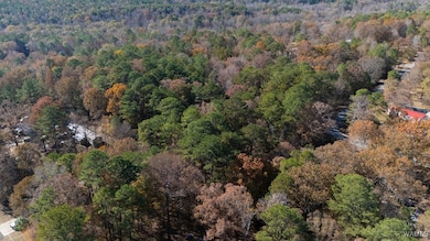 0 Jerry Dr unit 171997, McCalla, AL 35111 - photo 3