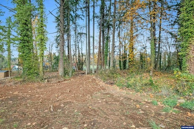 17857 Sounth Abiqua Ln NE, Silverton, OR 97381 - photo 4