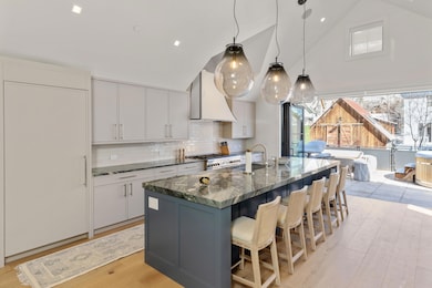 475 W Depot Ave, Telluride, CO 81435 - photo 7