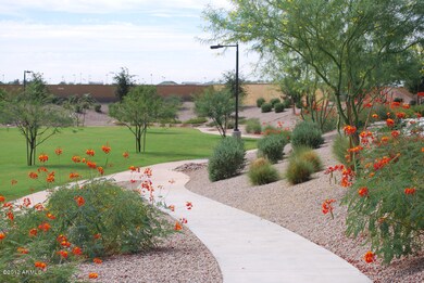 walking paths