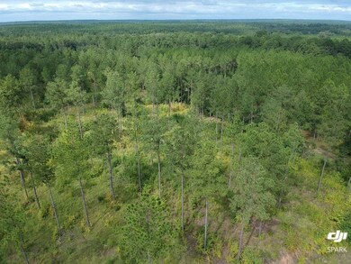 00 Spring Flats Rd, Sylvester, GA 31791 - photo 2