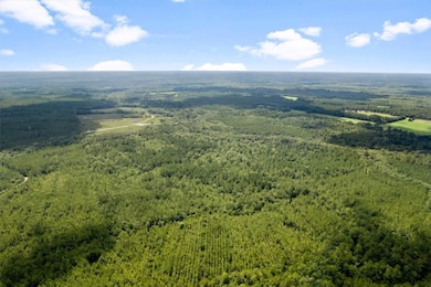 0 Roberson Rd, Hortense, GA 31543 - photo 5