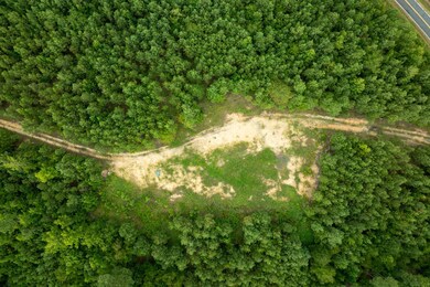 0 Camp Welfare Rd, Winnsboro, SC 29180 - photo 6