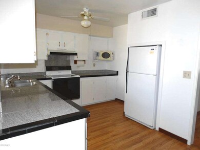 11114 W Desert Butte Dr, Sun City, AZ 85351 - photo 7