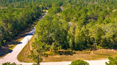 TBD Grey Feather Rd, Huntsville, TX 77340 - photo 5