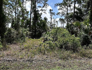 0 Einstein St unit MFRC7518570, North Port, FL 34291 - photo 3