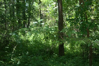 SAM_0716