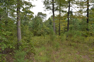 0 Mathis Cemetery Rd unit 2187275, Stewart, TN 37175 - photo 5