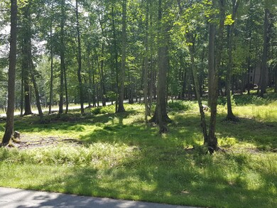 197 Fawn Lake Dr, Lackawaxen Township, PA 18428 - photo 7