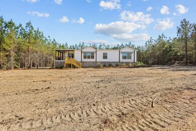 1262 Penny Morris Rd, Baxley, GA 31513 - photo 7