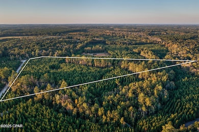 1503 Open Creek Rd unit North Lot, Chipley, FL 32425 - photo 5