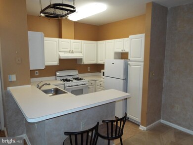 5005 Triplett Rd, Owings Mills, MD 21117 - photo 4