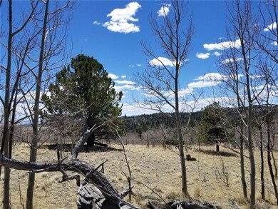 132 Grebe Ln, Como, CO 80432 - photo 2