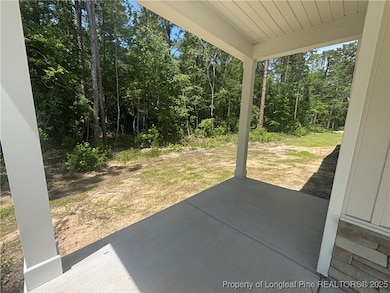 505 Chason Rd, Lumber Bridge, NC 28357 - photo 3