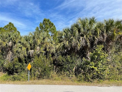 12152 Borax Ave, Punta Gorda, FL 33955 - photo 5