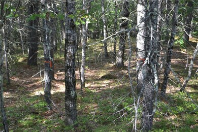 319 George Wright Rd, Woolwich, ME 04579 - photo 4