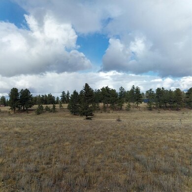 0 Singletree Rd unit S1064407, Buena Vista, CO 81211 - photo 2