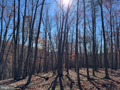 Lot 2 Cove Creek, Baker, WV 26801 - photo 3