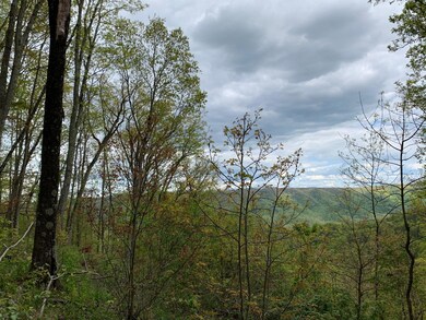 Vann Lot 123 Pic 8