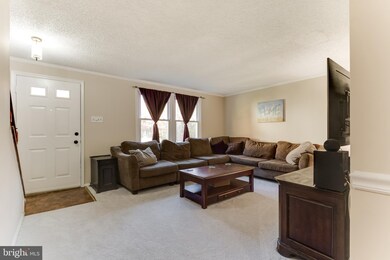 8666 Maple Glen Ct, Springfield, VA 22153 - photo 4