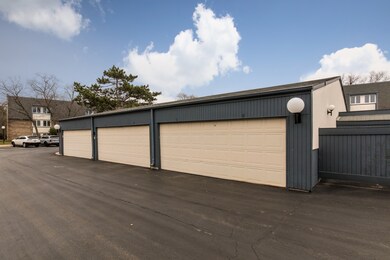 2021 Ammer Ridge Ct unit 202, Glenview, IL 60025 - photo 4