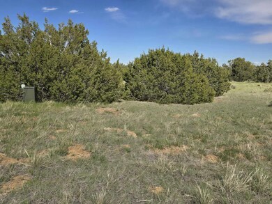 8 Tres Amigos Trail, Walsenburg, CO 81089 - photo 5