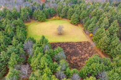 14754 N McComb Lake Ln, Mountain, WI 54149 - photo 4