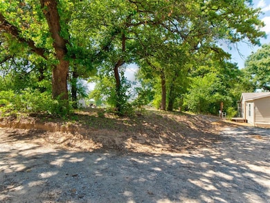 302 Pine Bluff Ln, Springtown, TX 76082 - photo 5