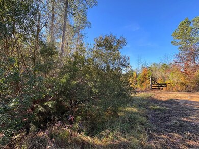 County Road 25, Reform, AL 35481 - photo 6