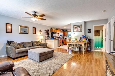 005240913-2-116GraySquirrelLnSeymourTN-S