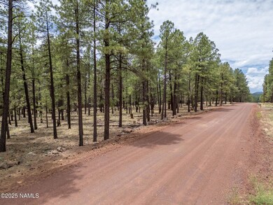 7454 E Robin Hood Rd, Parks, AZ 86046 - photo 3