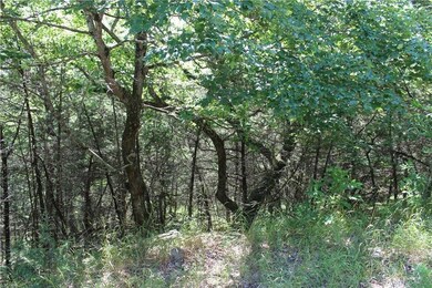 4 Beaver Cir unit 115, Holiday Island, AR 72631 - photo 5