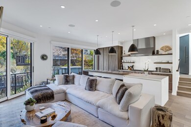 1098 E Waters Ave, Aspen, CO 81611 - photo 2