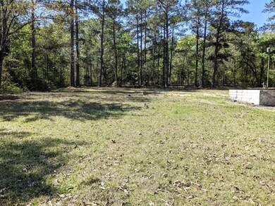 Front/side yard